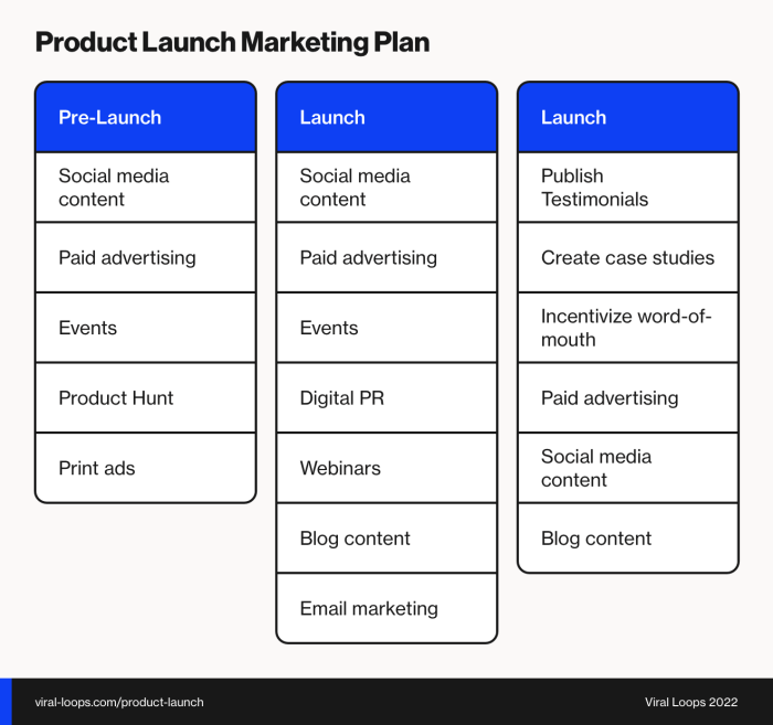 Developing a Product Launch Plan