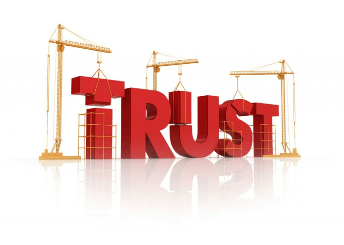 Building Customer Trust Online