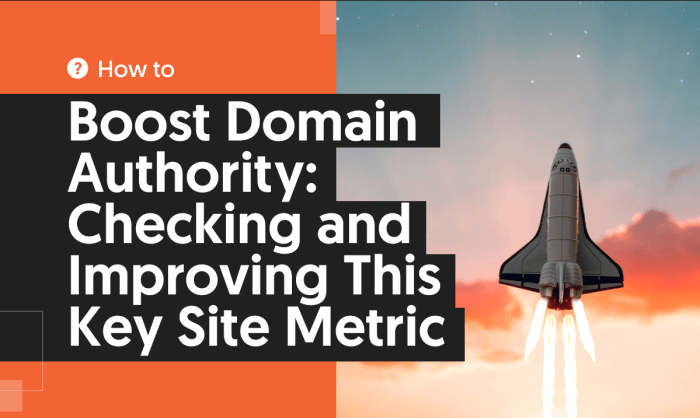 Improving Domain Authority