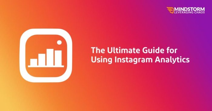 Using Instagram Analytics