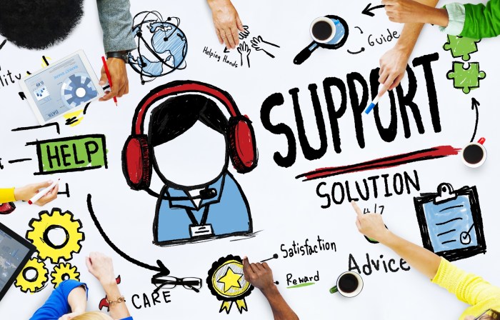 Developing Customer Support Solutions