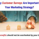 Using Surveys for Customer Insights