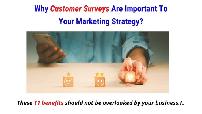 Using Surveys for Customer Insights