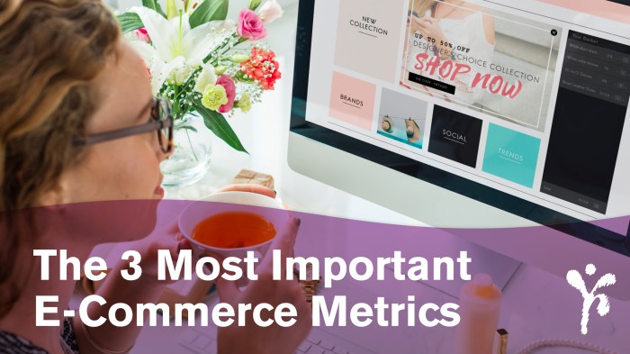 Understanding E-commerce Conversion Metrics